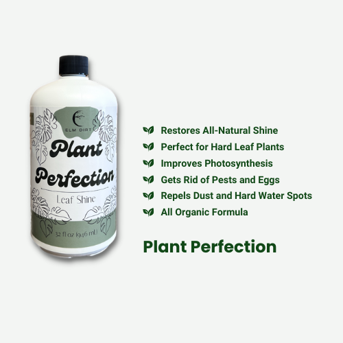  Elm Dirt Plant Perfection Spray for All Plants - Leaf Shine  Spray for Indoor Plants & Outdoor Plant Food